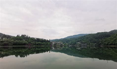 家居风水铁树风水 餐具擺位